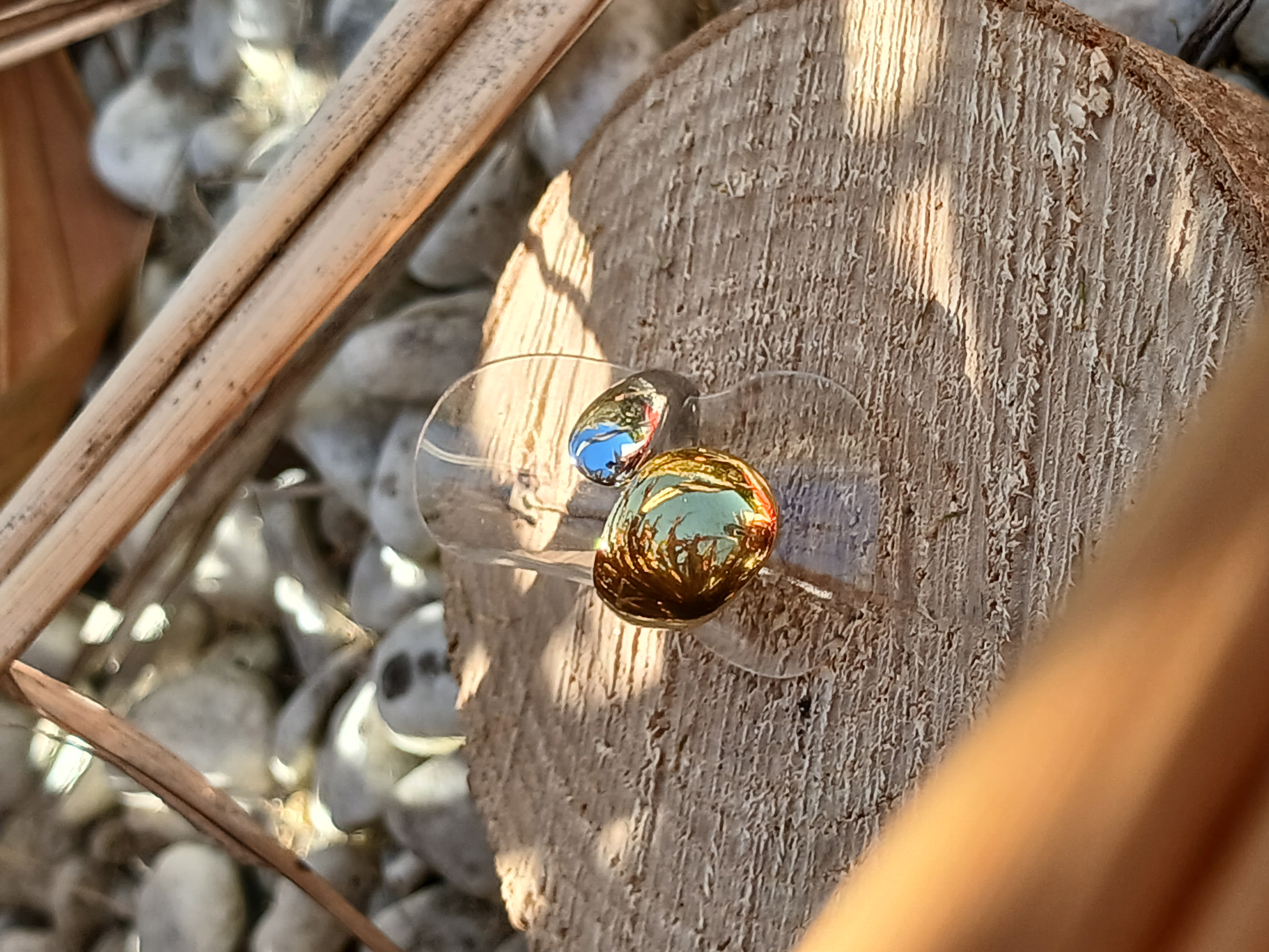 Bague Diana Bi color